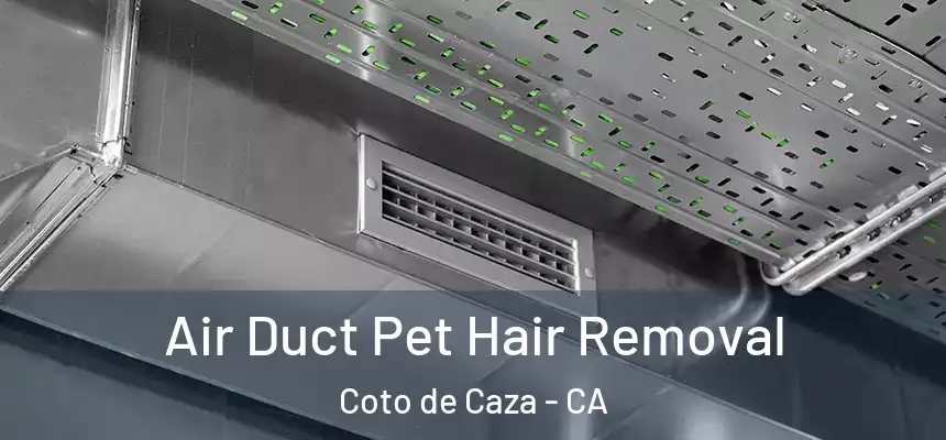  Air Duct Pet Hair Removal Coto de Caza - CA