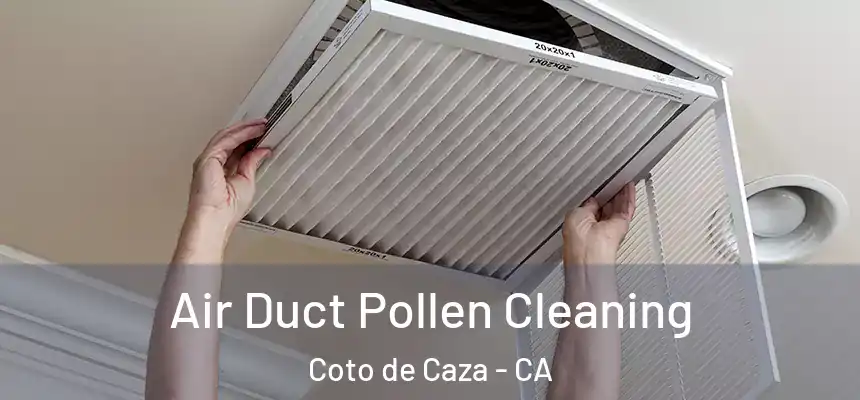 Air Duct Pollen Cleaning Coto de Caza - CA