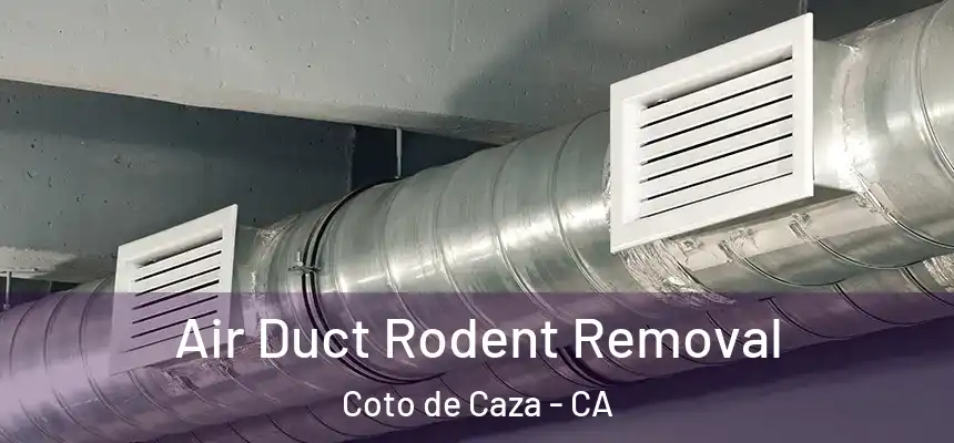 Air Duct Rodent Removal Coto de Caza - CA