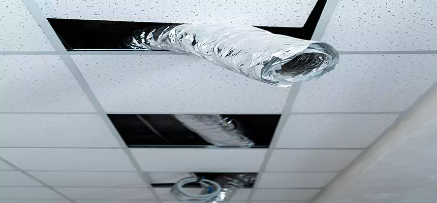 Our Air Duct Pet Hair Removal Services in Coto de Caza, CA