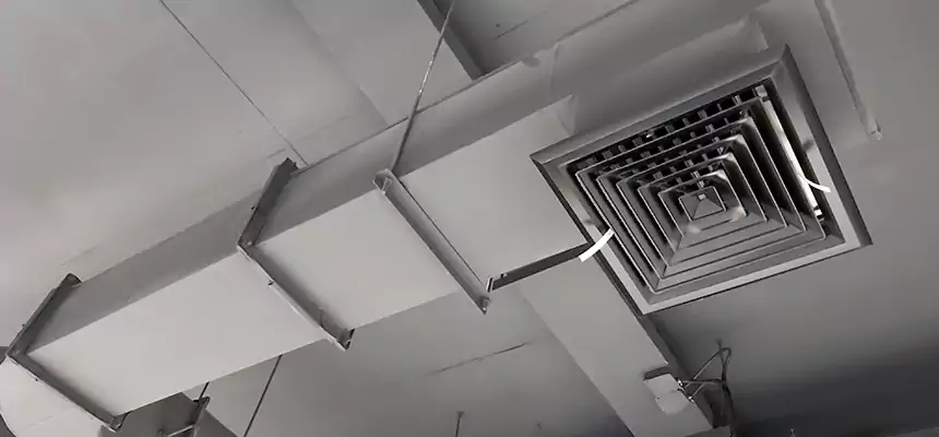 Our Pest Removal From Ducts Services in Coto de Caza, CA