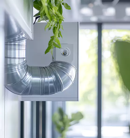 Professional Eco-Safe Dryer Vent Cleaning in Coto de Caza, CA