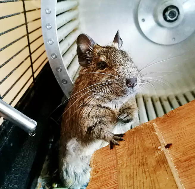 Why Homeowners & Businesses Trust Us Coto de Caza, CA?