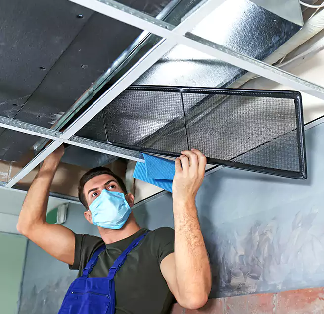 Why Homeowners Businesses Trust Us in Coto de Caza, CA