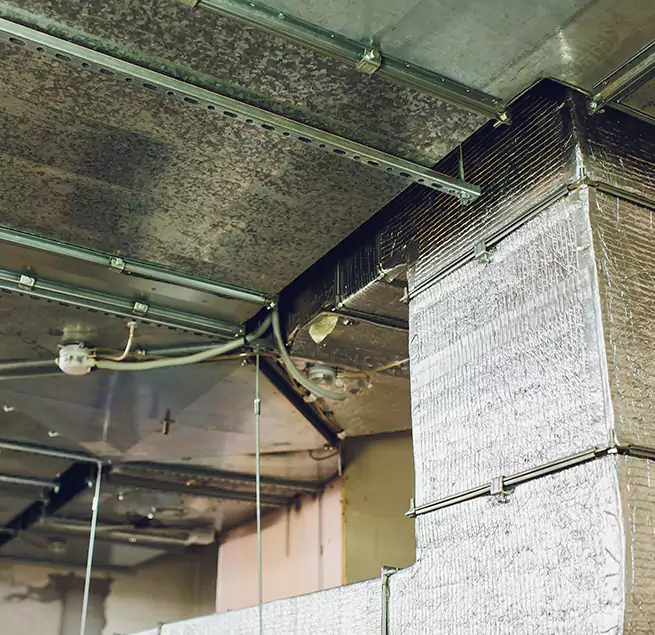 Why Homeowners & Businesses Trust Us in Coto de Caza, CA?